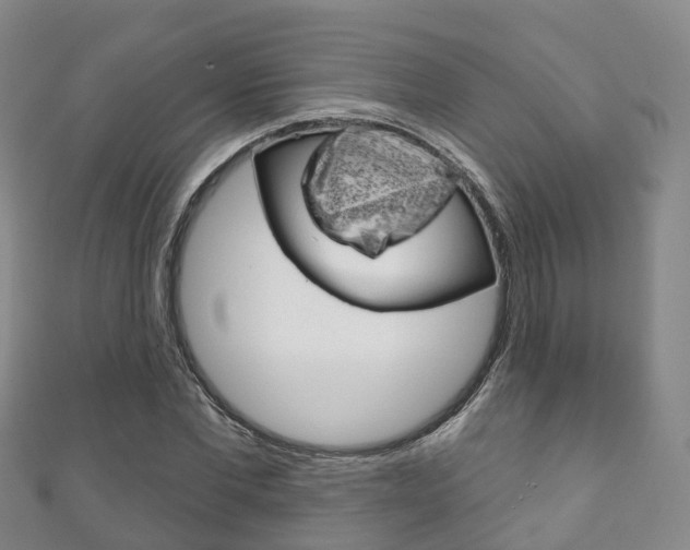 X0000111930877200907271028
