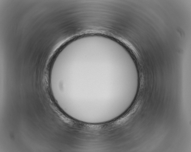 X0000111930878200907271028