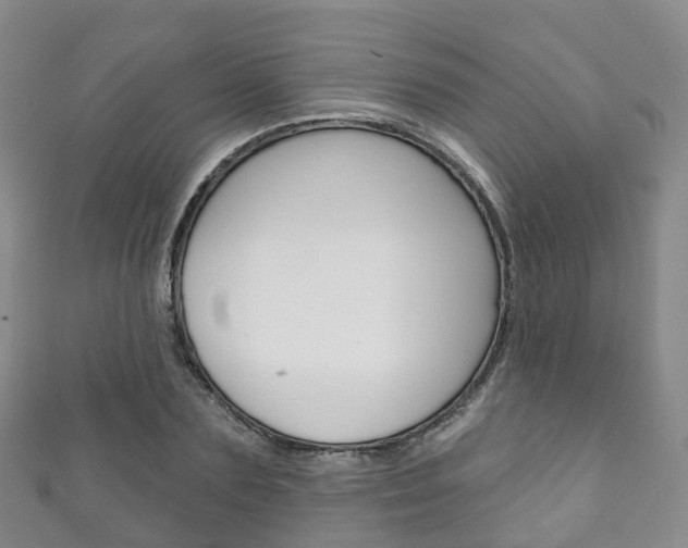 X0000111930883200907271028