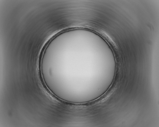 X0000111930884200907271028