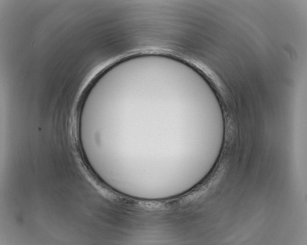 X0000111930886200907271028