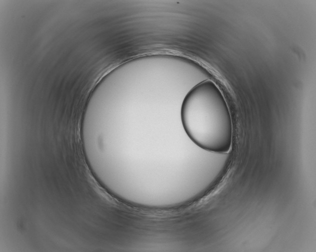 X0000111930889200907271028
