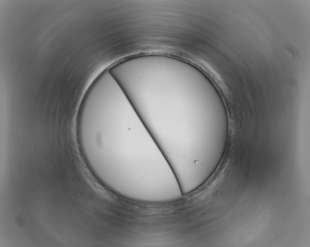 X0000111930891200907271028