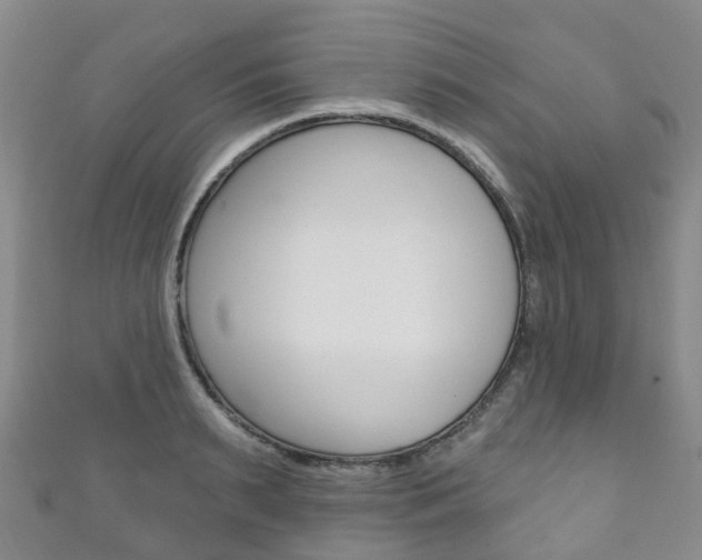 X0000111930895200907271028