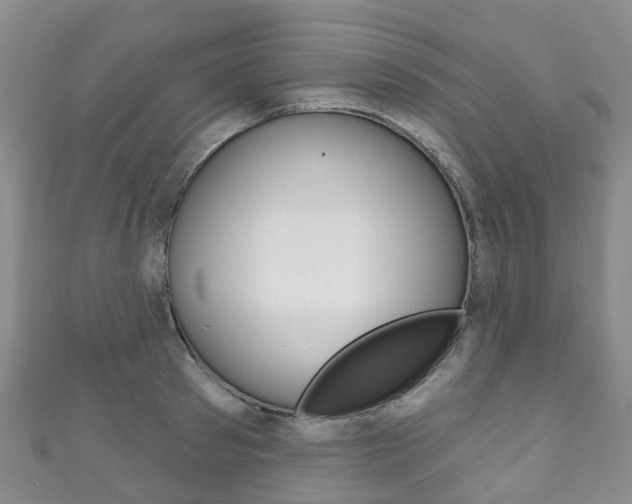 X0000111930897200907271028
