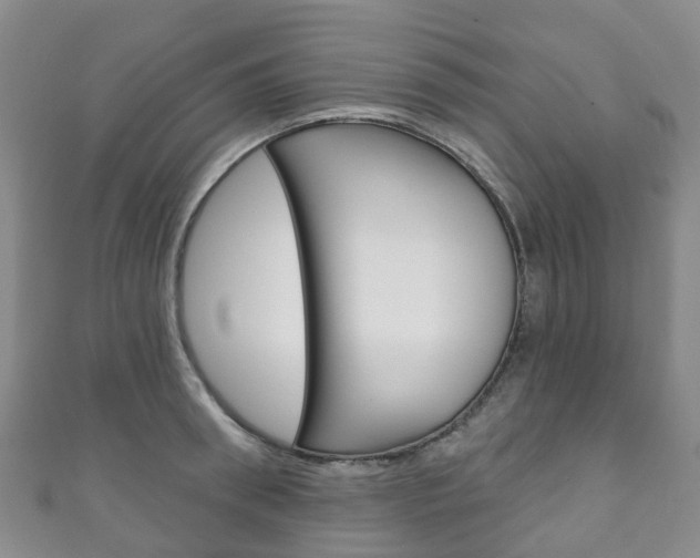 X0000111930898200907271028