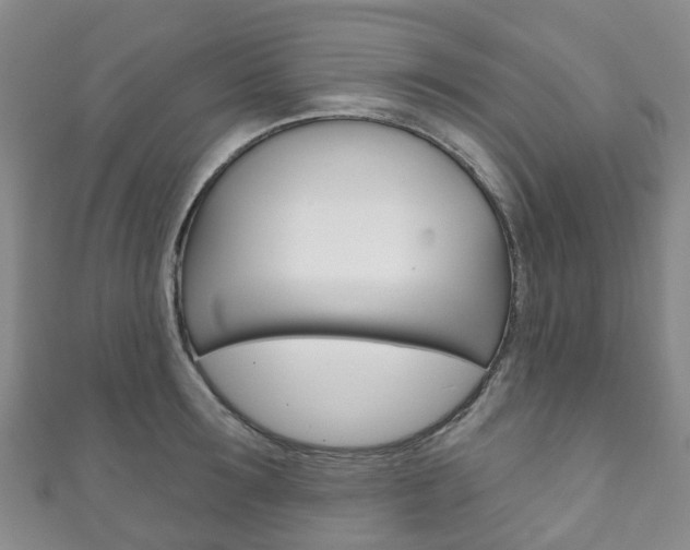 X0000111930899200907271028