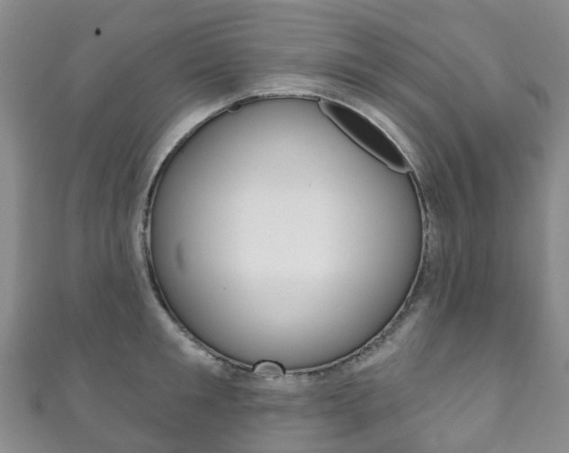 X0000111930901200907271028