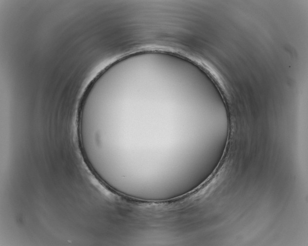 X0000111930902200907271028