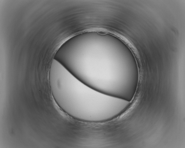 X0000111930905200907271028