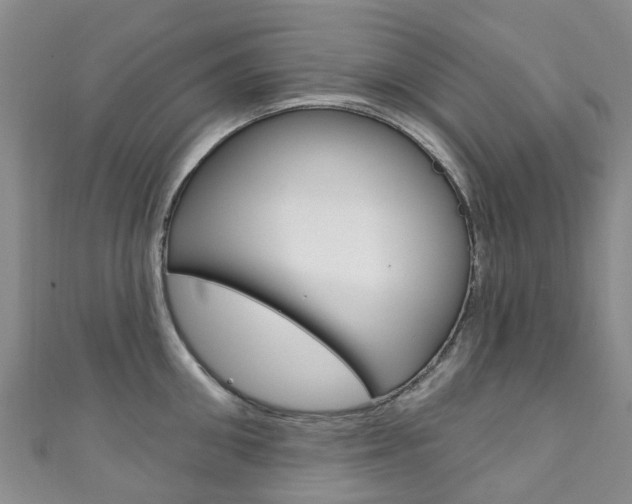X0000111930906200907271028
