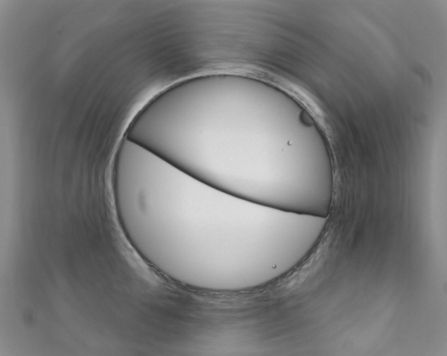 X0000111930907200907271028