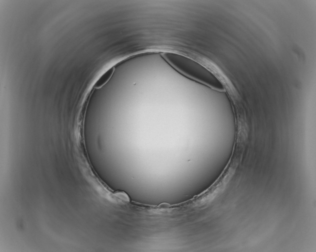 X0000111930908200907271028