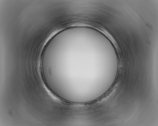 X0000111930909200907271028
