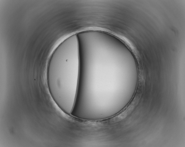 X0000111930910200907271028