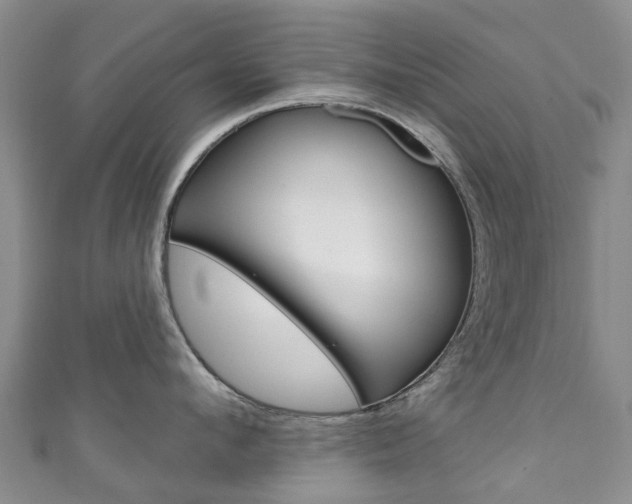 X0000111930912200907271028