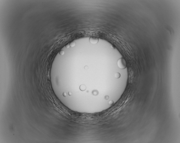 X0000111930913200907271027
