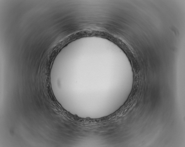 X0000111930919200907271027