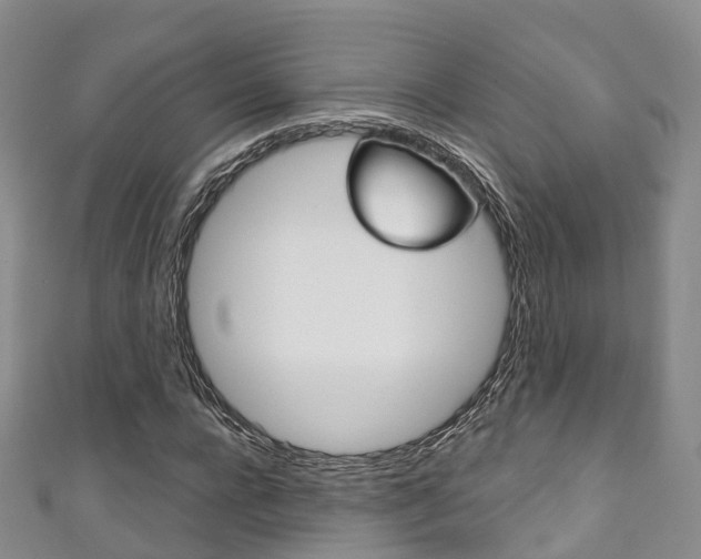 X0000111930920200907271027