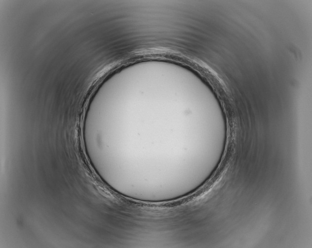 X0000111930921200907271027