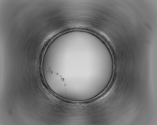 X0000111930922200907271027