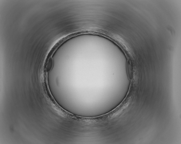 X0000111930924200907271027