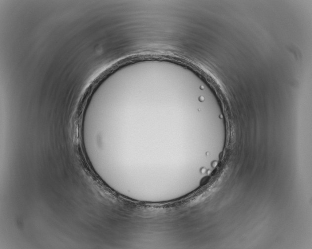 X0000111930925200907271027