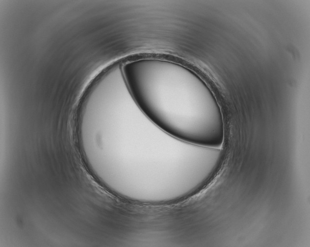 X0000111930926200907271027
