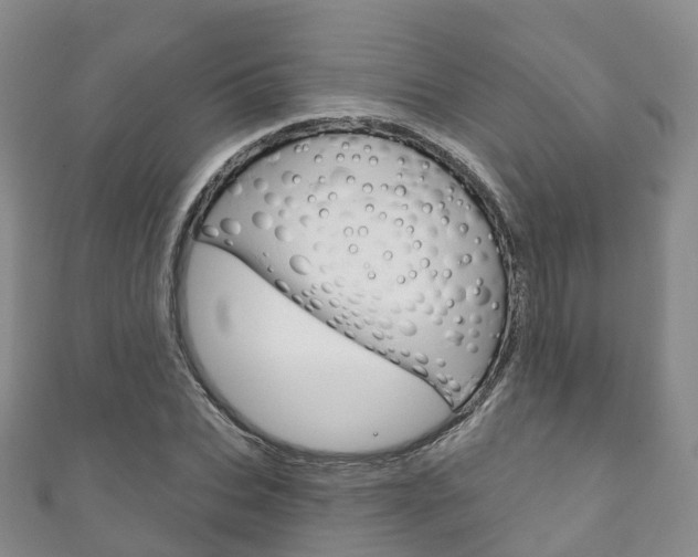 X0000111930927200907271027