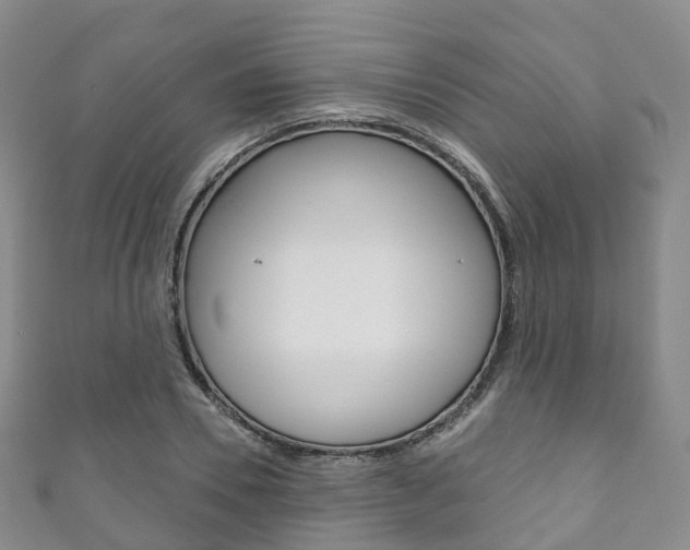 X0000111930930200907271027