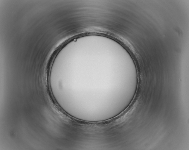 X0000111930931200907271027