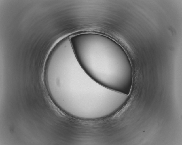 X0000111930932200907271027