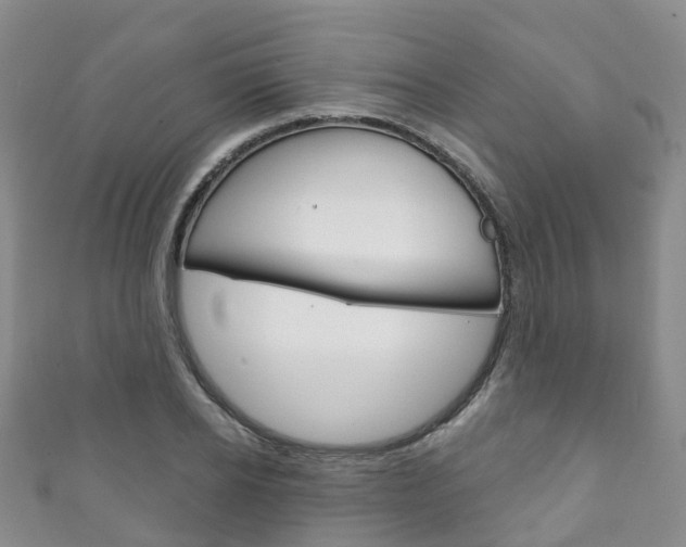 X0000111930934200907271027
