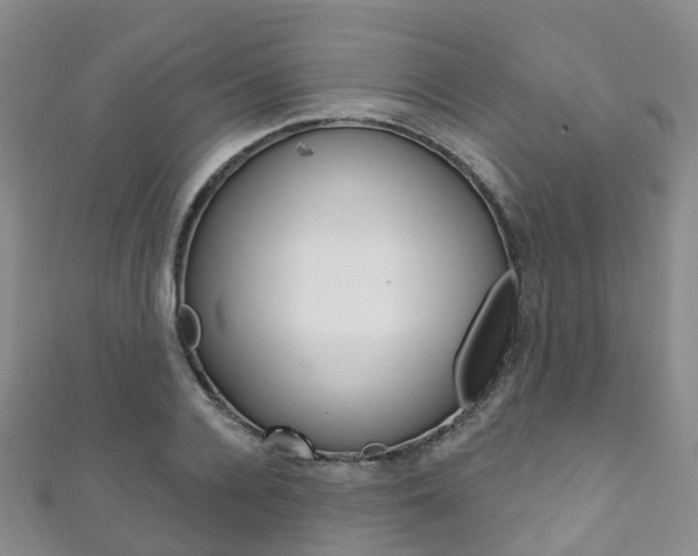 X0000111930936200907271028