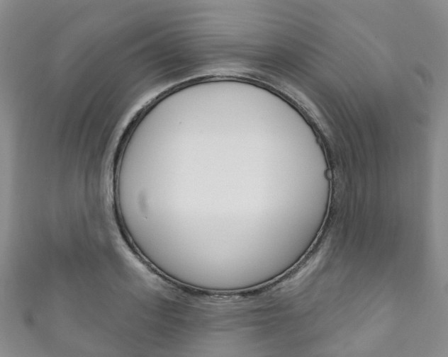 X0000111930939200907271028