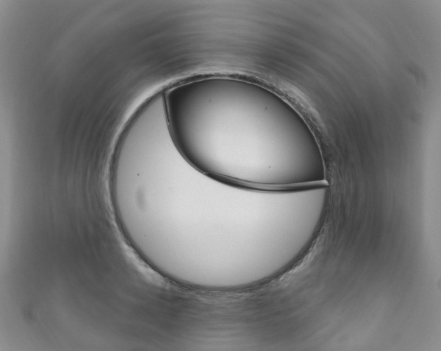 X0000111930942200907271028