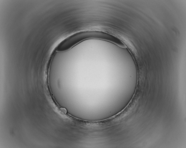 X0000111930944200907271028