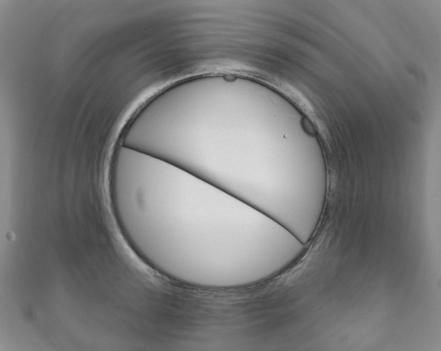 X0000111930947200907271028