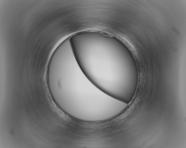 X0000111930948200907271028