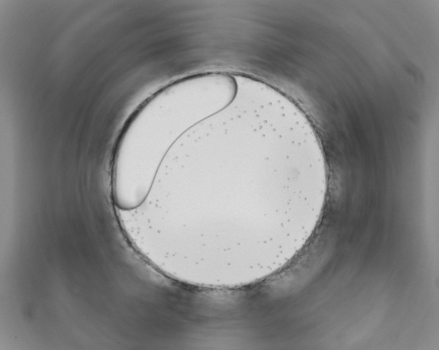 X0000111930950200907271028