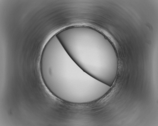 X0000111930951200907271028