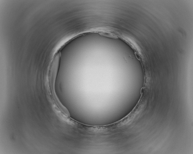 X0000111930952200907271028
