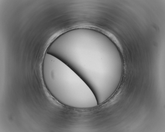 X0000111930954200907271028