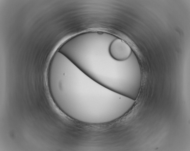 X0000111930955200907271028