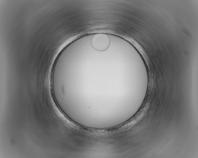 X0000111930957200907271028