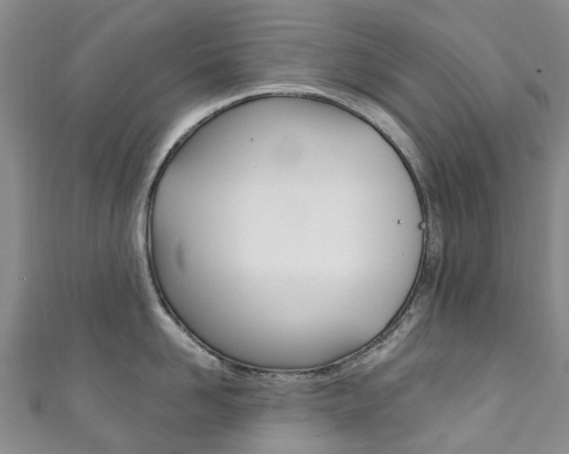 X0000111930958200907271028