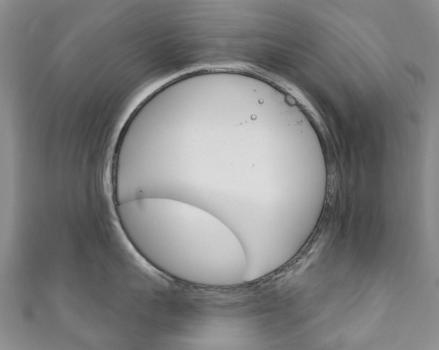 X0000111930959200907271028