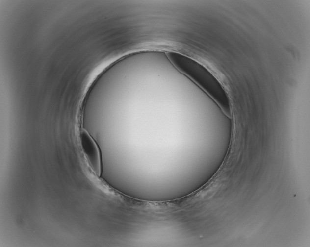 X0000111930960200907271028