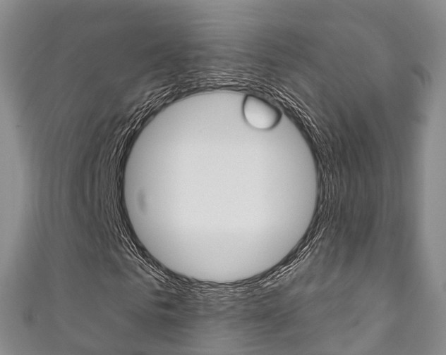 X0000111930961200907271027