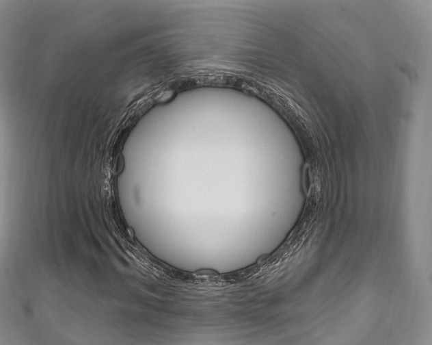 X0000111930964200907271027